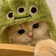 Trần Văn Quyết avatar