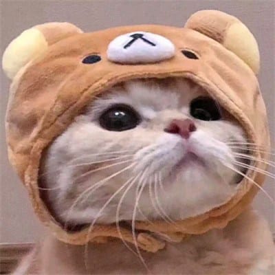 Nguyễn Văn Sơn avatar